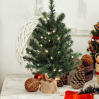 2 ft Pre-Lit Northern Spruce Christmas Tree with Burlap Base Tabletop Décor