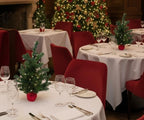 2 ft Pre-Lit Northern Spruce Christmas Tree with Red Cloth Base Tabletop Décor