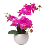 13-Inch Artificial Fuchsia Orchid in 5-Inch Round White Vase