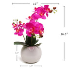 13-Inch Artificial Fuchsia Orchid in 5-Inch Round White Vase