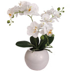13-Inch Artificial Fuchsia Orchid in 5-Inch Round White Vase