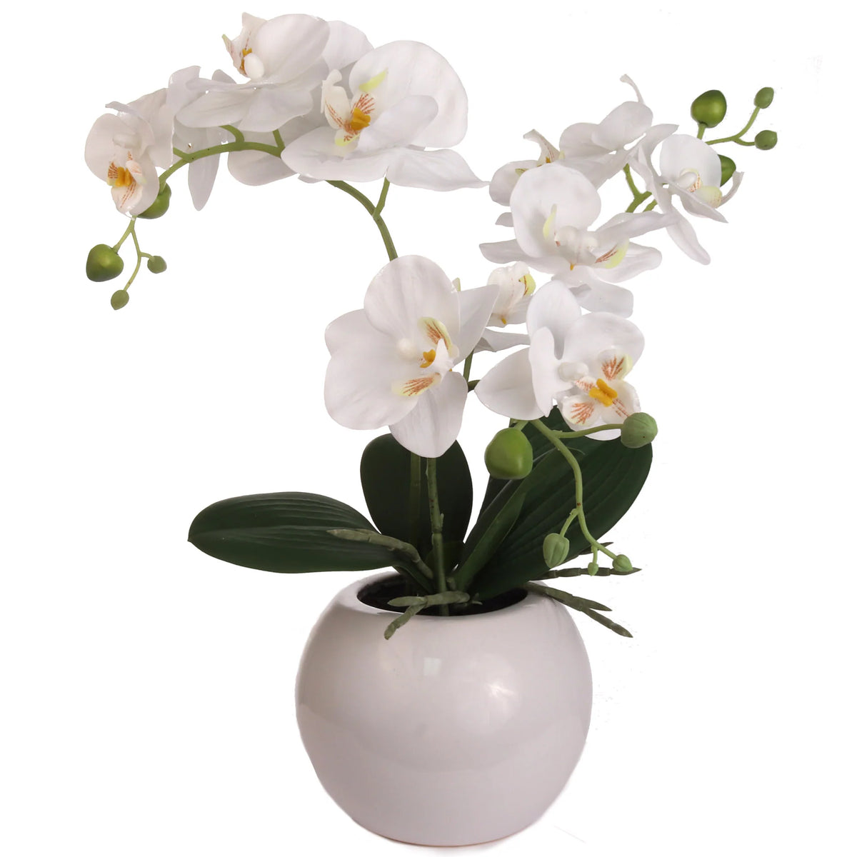 13-Inch Artificial Fuchsia Orchid in 5-Inch Round White Vase