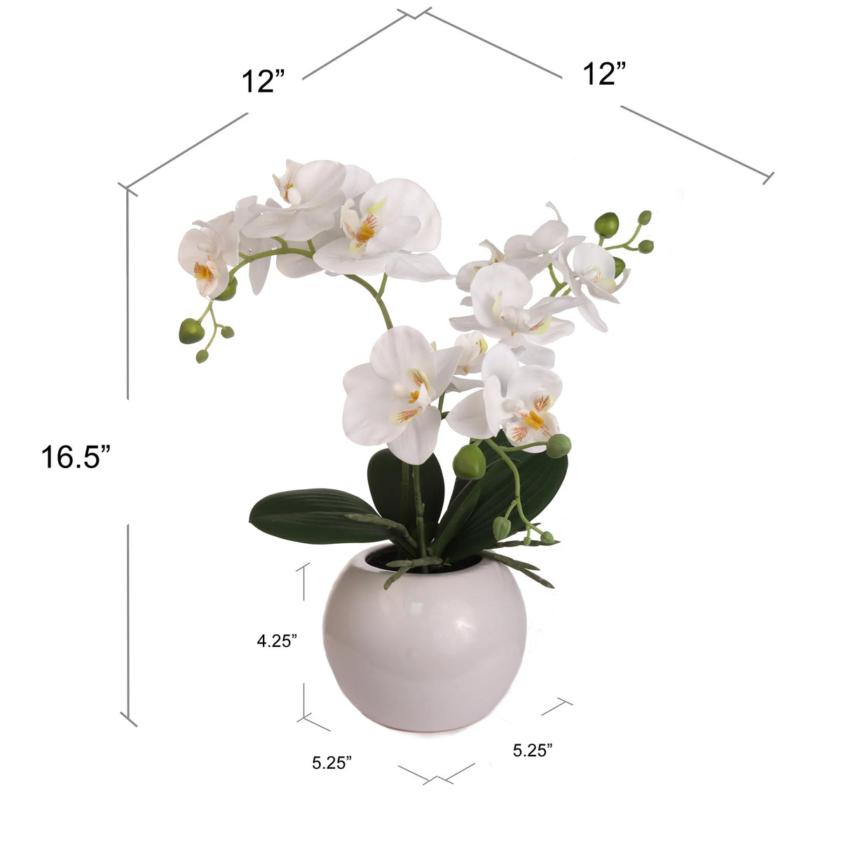 13-Inch Artificial Fuchsia Orchid in 5-Inch Round White Vase