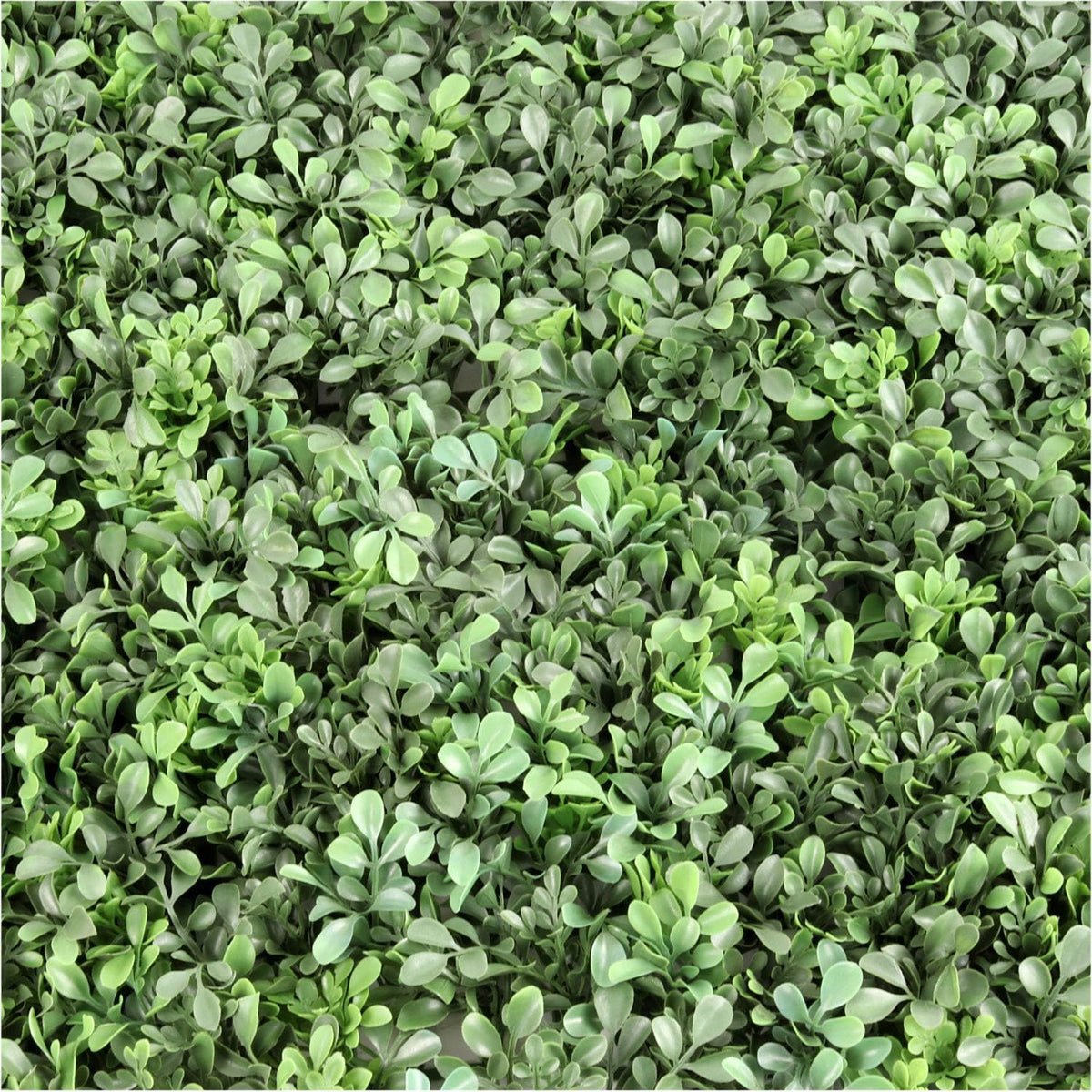 Lupita's Flower Shop Artificial Boxwood Square Panels - 12 Pack, 12" x 12" Greenery Wall Tiles
