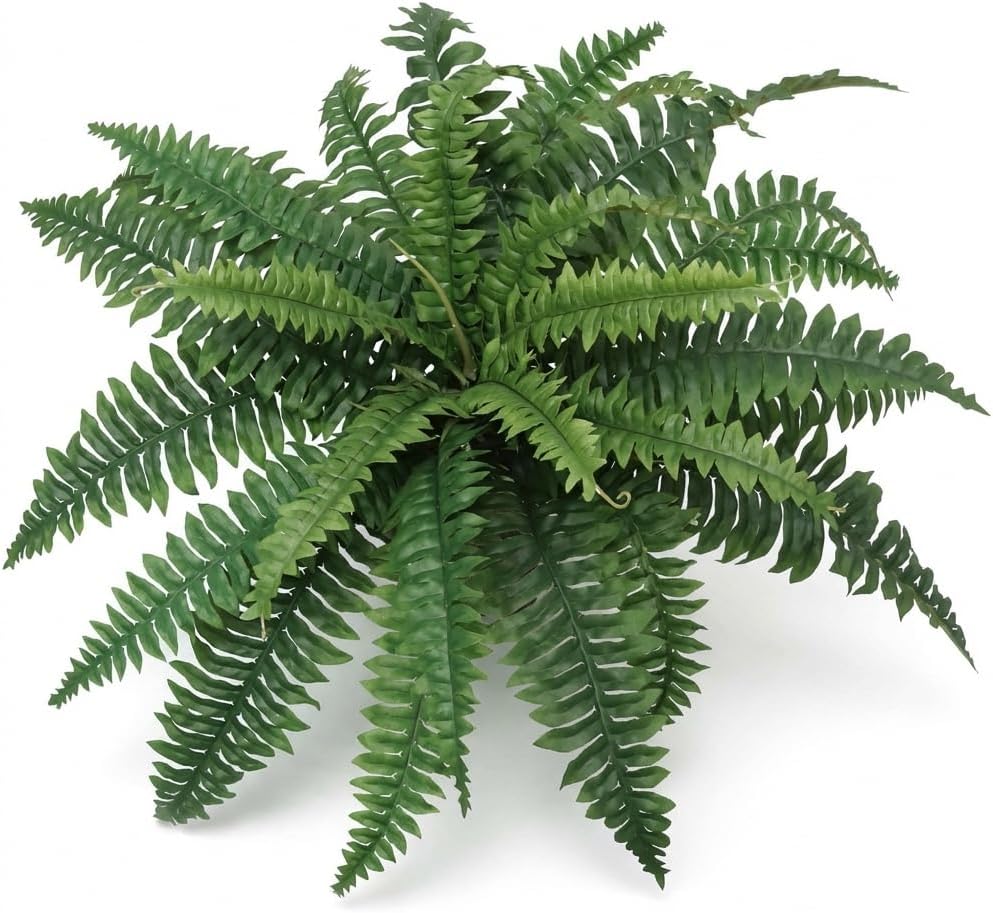 Faux Boston Fern Plant 28 Inch with 25 Silk Fronds Indoor Greenery