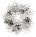 Flocked Faux Pine Wreath with Brown Pine Cones 24 Inch Set of 2 Holiday Decor